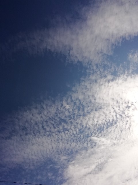 f:id:goodmotion55:20201108122744j:image f:id:goodmotion55:20201108122744j:image