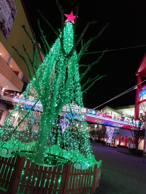 f:id:goodmotion55:20201114214955j:image