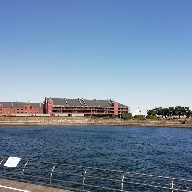 f:id:goodmotion55:20201114215039j:image