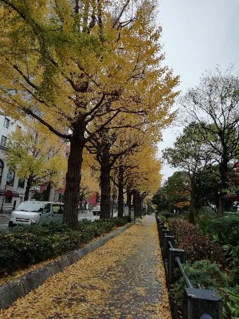 f:id:goodmotion55:20201201204414j:image f:id:goodmotion55:20201201204414j:image