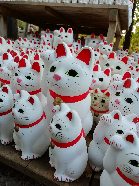 f:id:goodmotion55:20201201204509j:image f:id:goodmotion55:20201201204509j:image