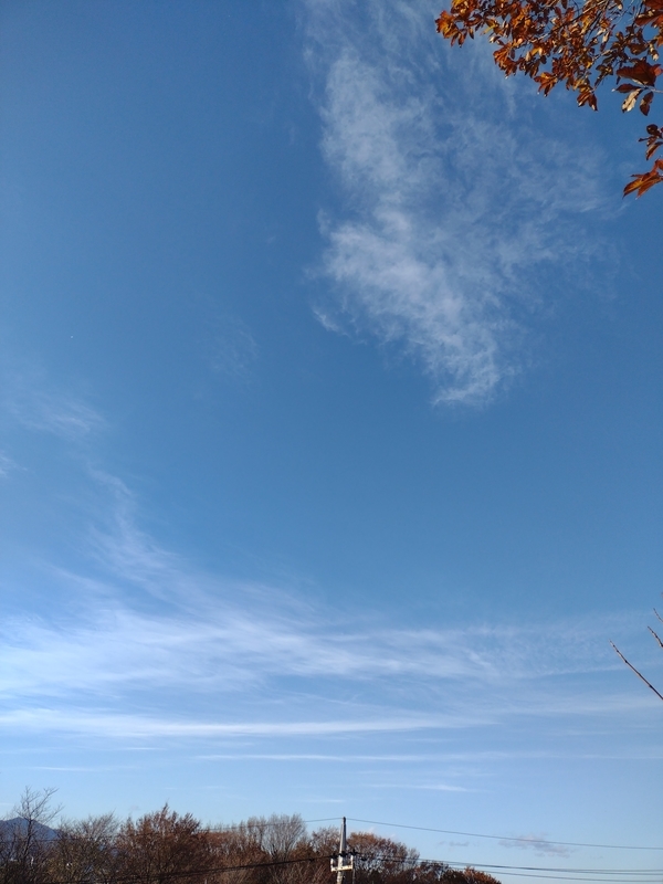 f:id:goodmotion55:20201220221708j:plain