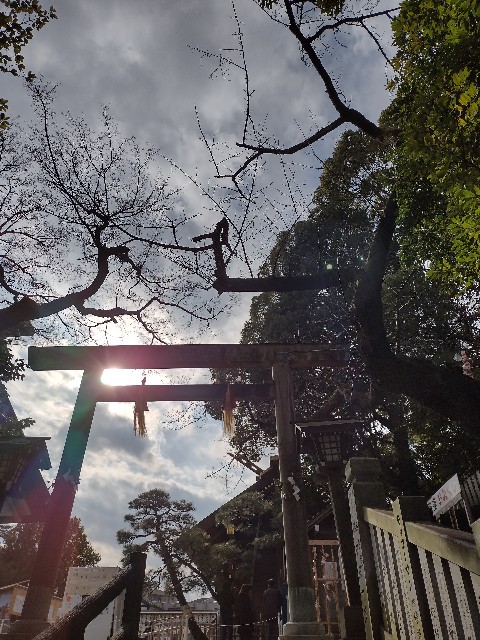 f:id:goodmotion55:20210108001649j:image