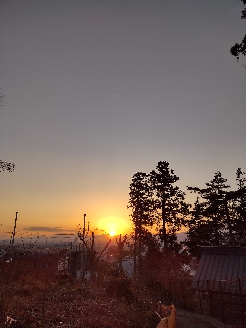f:id:goodmotion55:20210116225109j:image