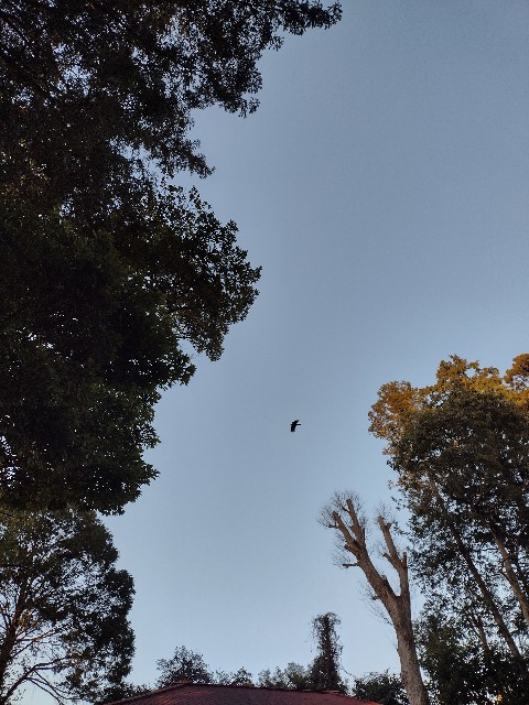 f:id:goodmotion55:20210116225157j:image
