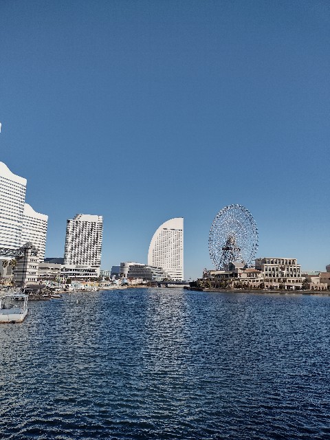 f:id:goodmotion55:20210125000200j:image f:id:goodmotion55:20210125000200j:image