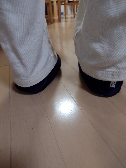 f:id:goodmotion55:20210125000311j:image f:id:goodmotion55:20210125000311j:image