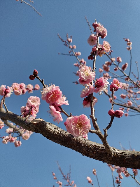 f:id:goodmotion55:20210207223525j:image