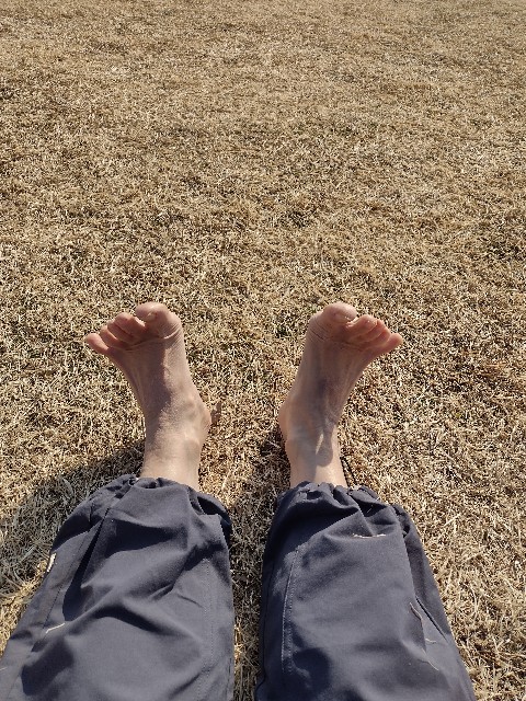 f:id:goodmotion55:20210207223604j:image