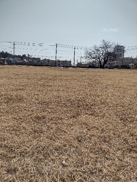 f:id:goodmotion55:20210207223719j:image