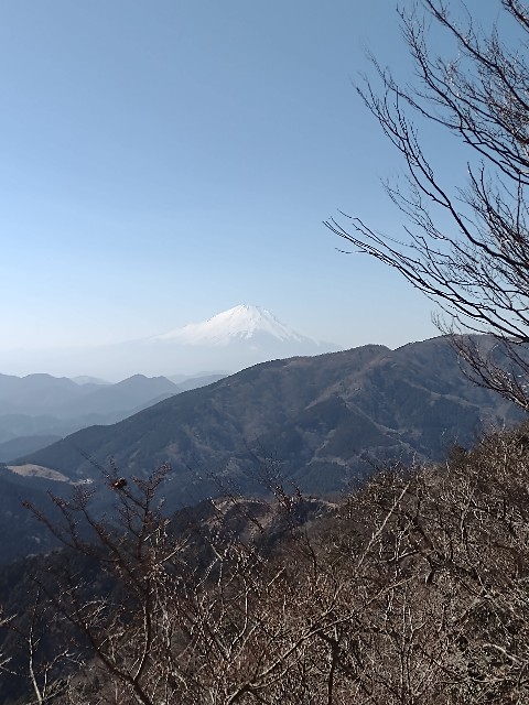 f:id:goodmotion55:20210223070058j:image