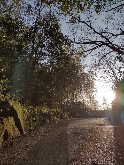 f:id:goodmotion55:20210228235950j:image