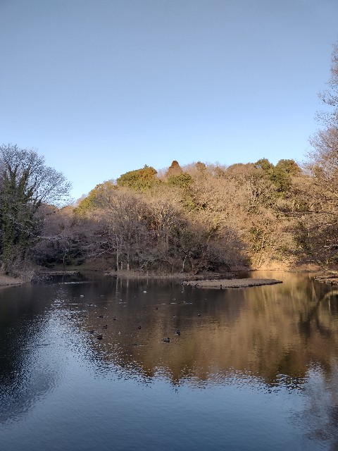 f:id:goodmotion55:20210301000006j:image