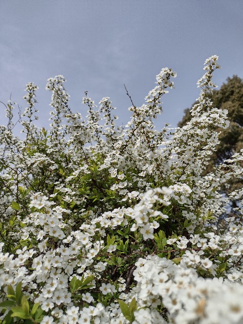 f:id:goodmotion55:20210322232713j:image