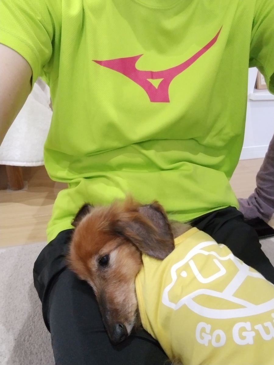 f:id:goodmotion55:20210505220043j:plain