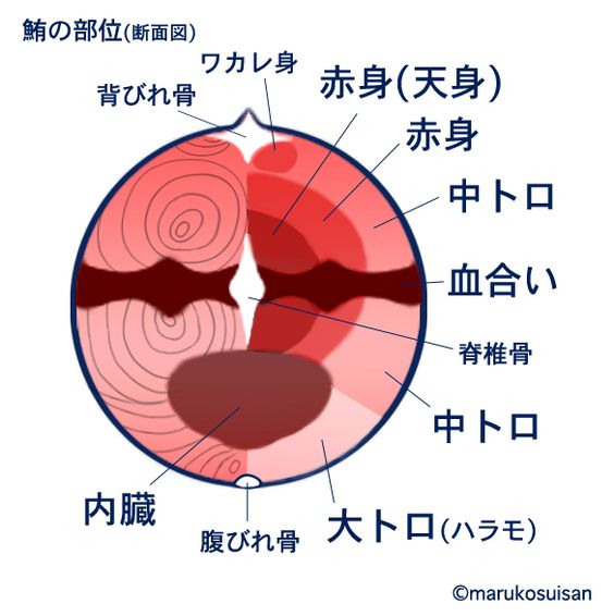 f:id:goodmotion55:20210509083045j:plain