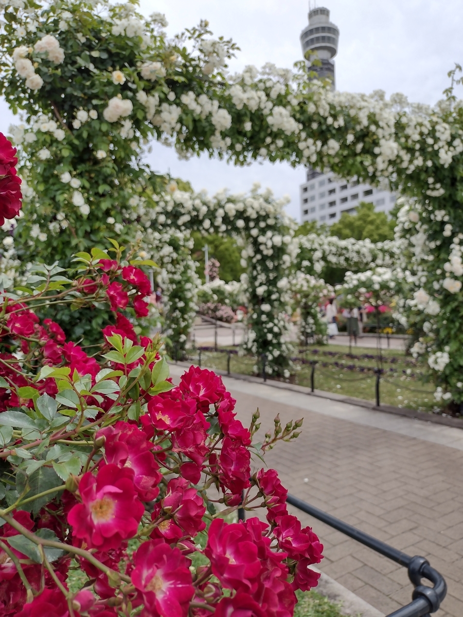 f:id:goodmotion55:20210513085841j:plain