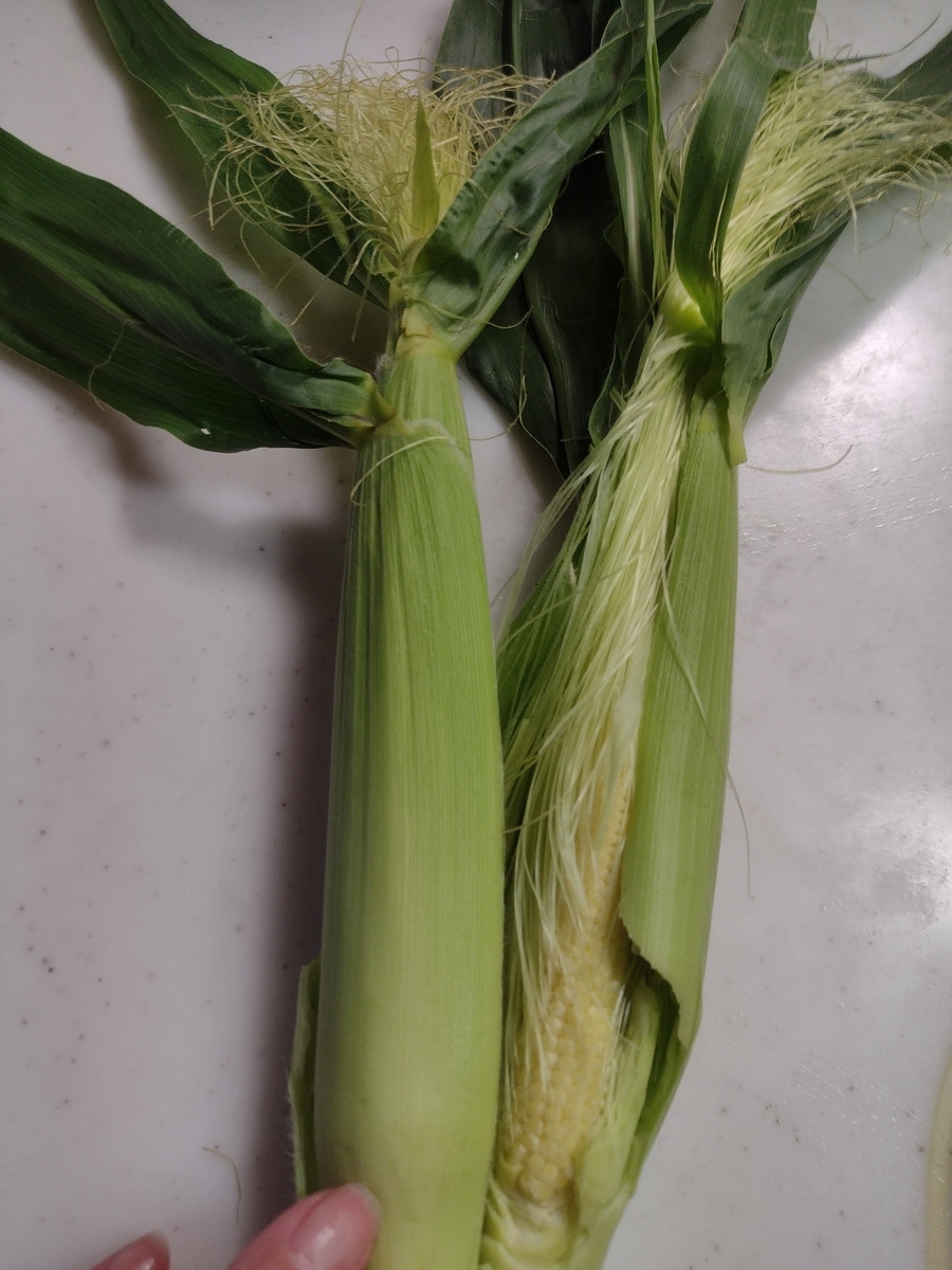 f:id:goodmotion55:20210517234046j:plain