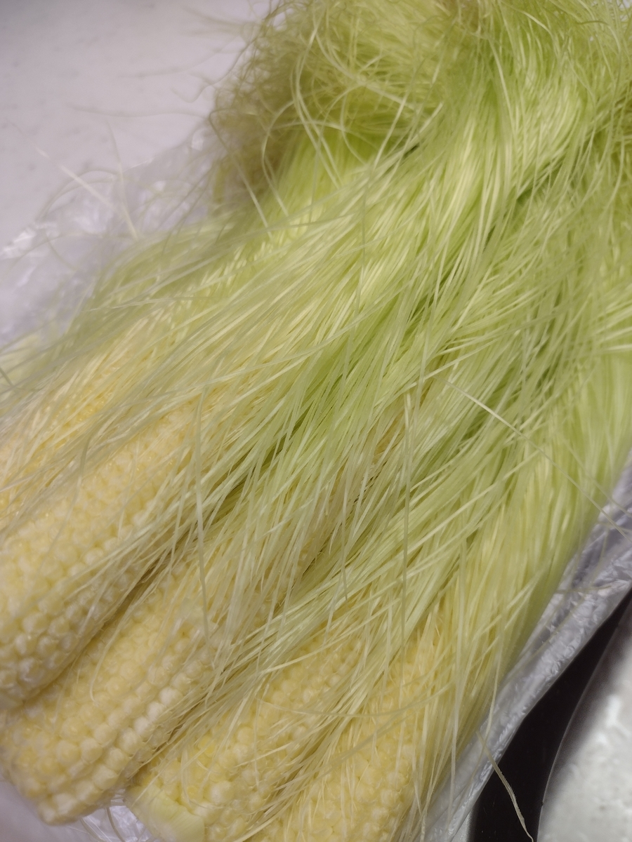 f:id:goodmotion55:20210517234125j:plain