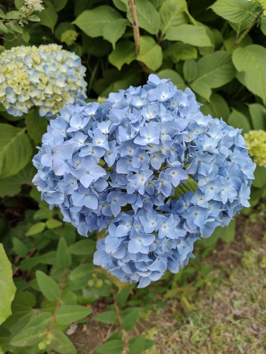 f:id:goodmotion55:20210517234859j:plain