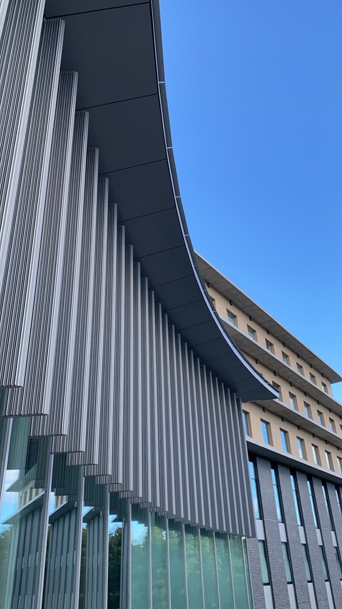 f:id:goodmotion55:20211012194549j:plain