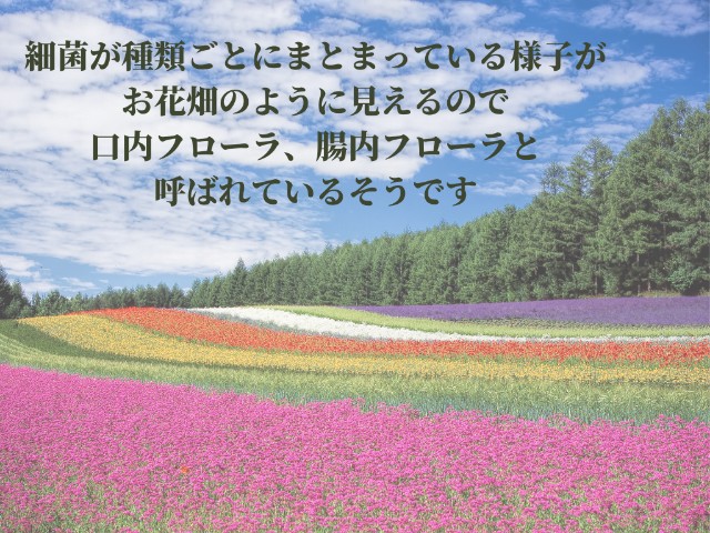 f:id:goodmotion55:20220227165957j:image