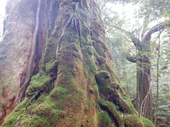 f:id:goodmotion55:20220401135653j:plain