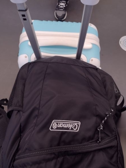 f:id:goodmotion55:20220401151712j:plain