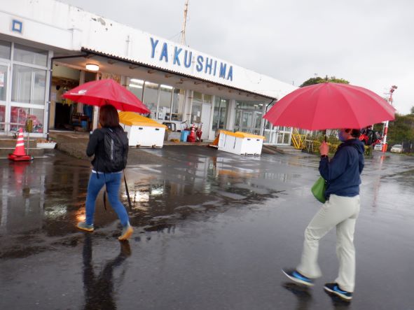 f:id:goodmotion55:20220401214253j:plain