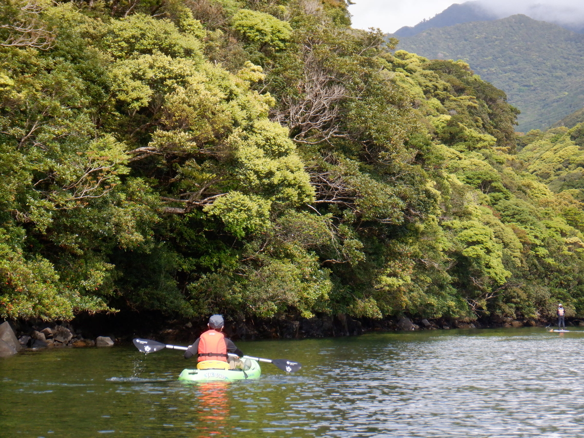 f:id:goodmotion55:20220403184137j:plain