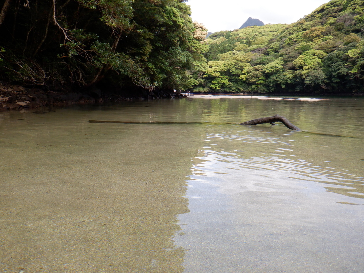 f:id:goodmotion55:20220403185842j:plain