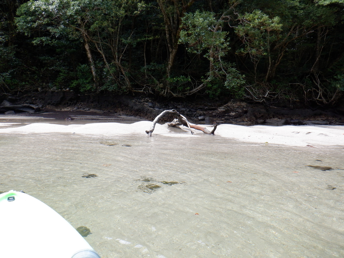 f:id:goodmotion55:20220403190551j:plain