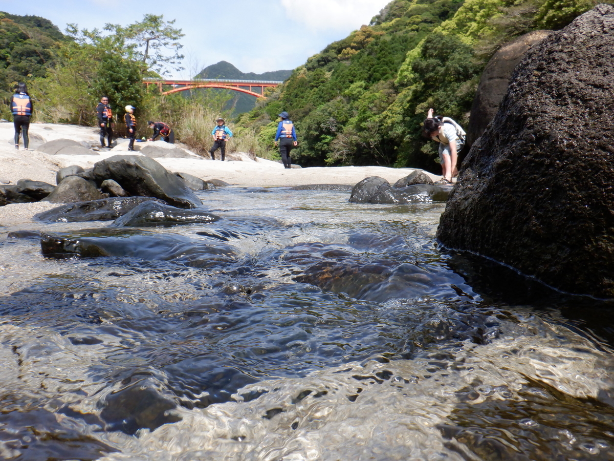 f:id:goodmotion55:20220403205001j:plain