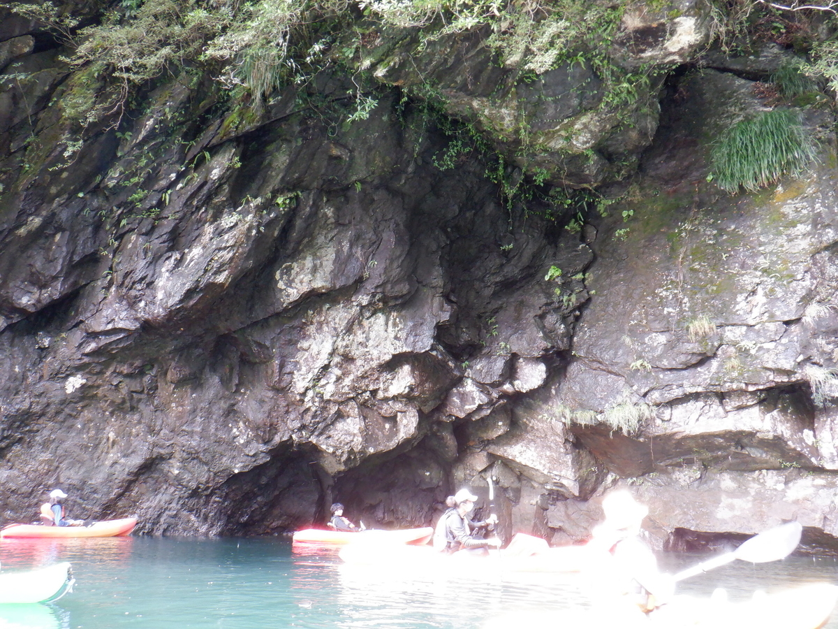 f:id:goodmotion55:20220403205708j:plain