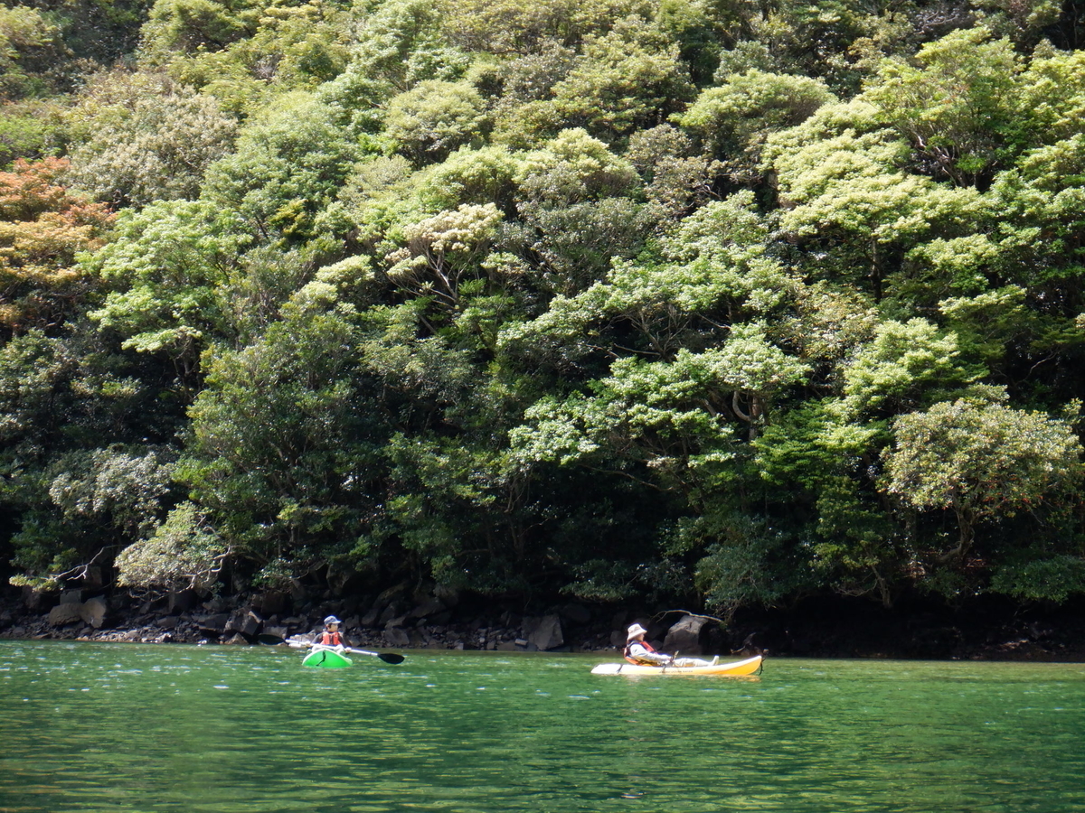 f:id:goodmotion55:20220403210242j:plain