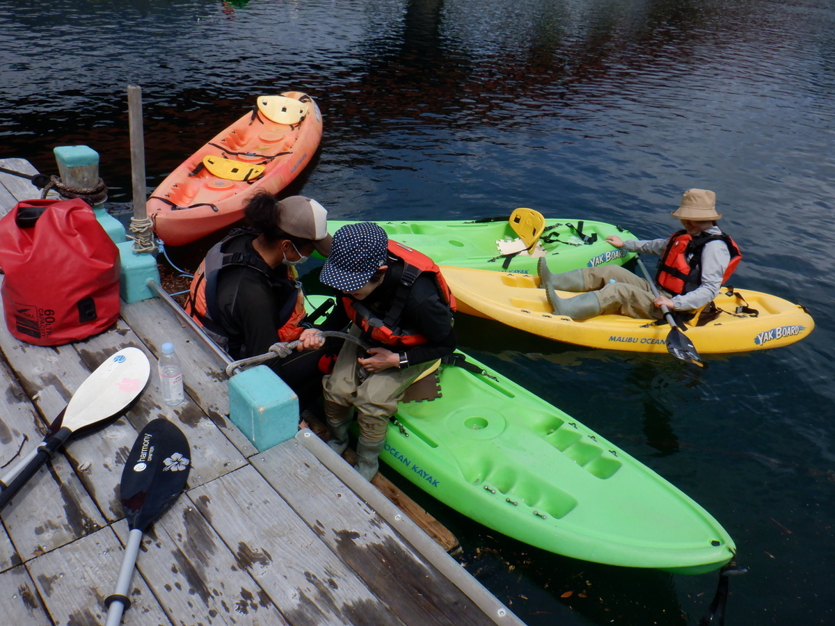 f:id:goodmotion55:20220403210701j:plain