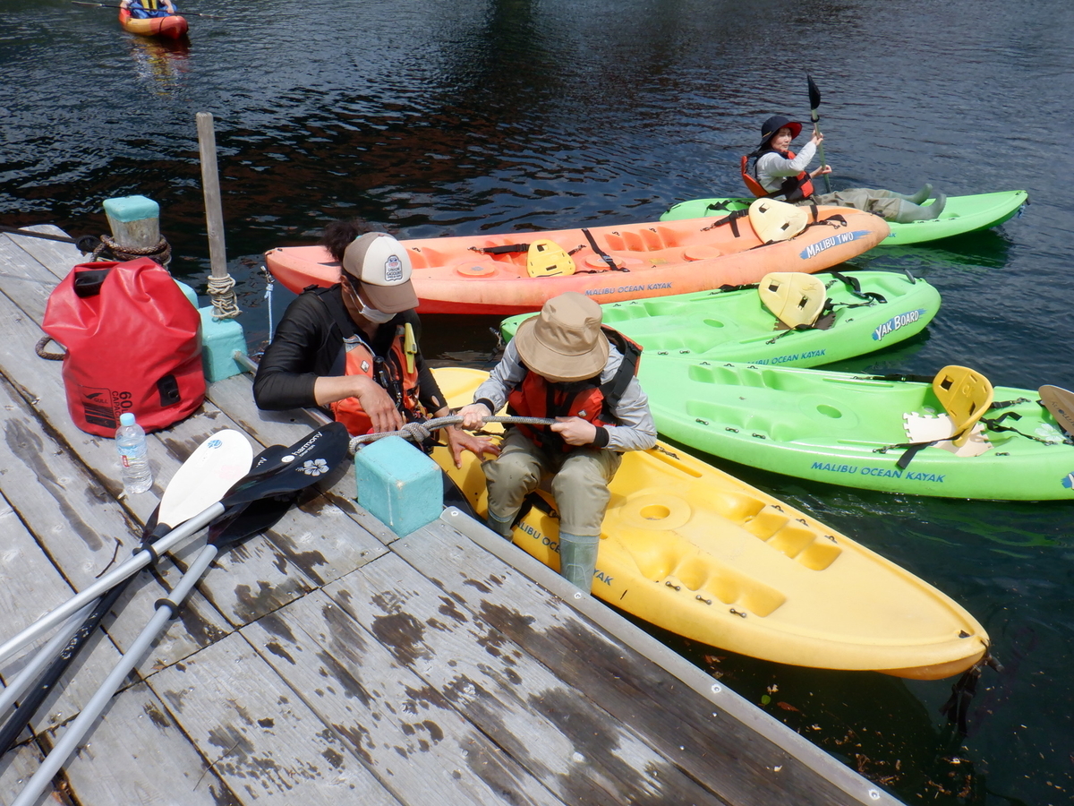 f:id:goodmotion55:20220403210750j:plain