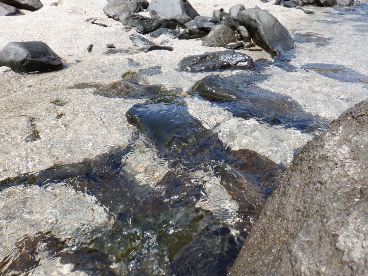 f:id:goodmotion55:20220408203851j:plain