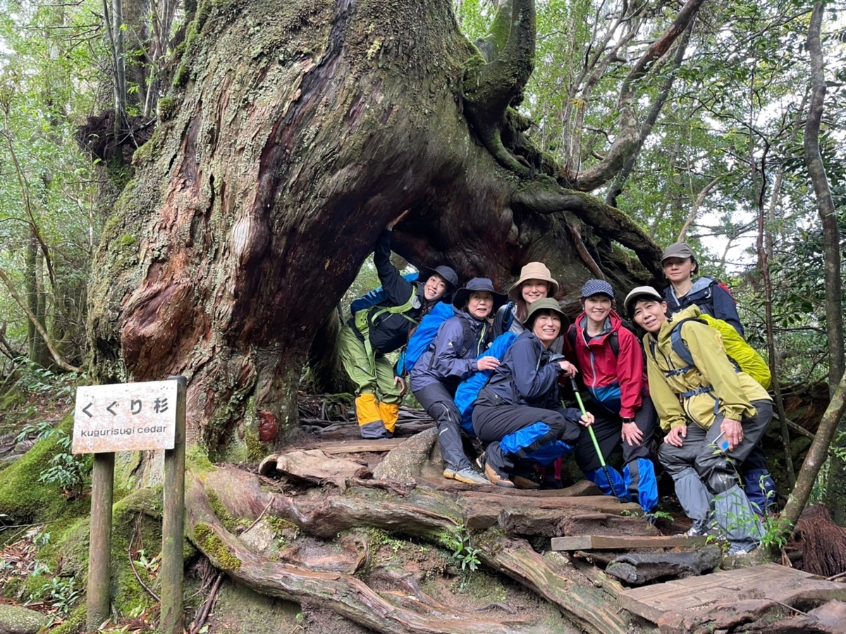 f:id:goodmotion55:20220408225159j:plain