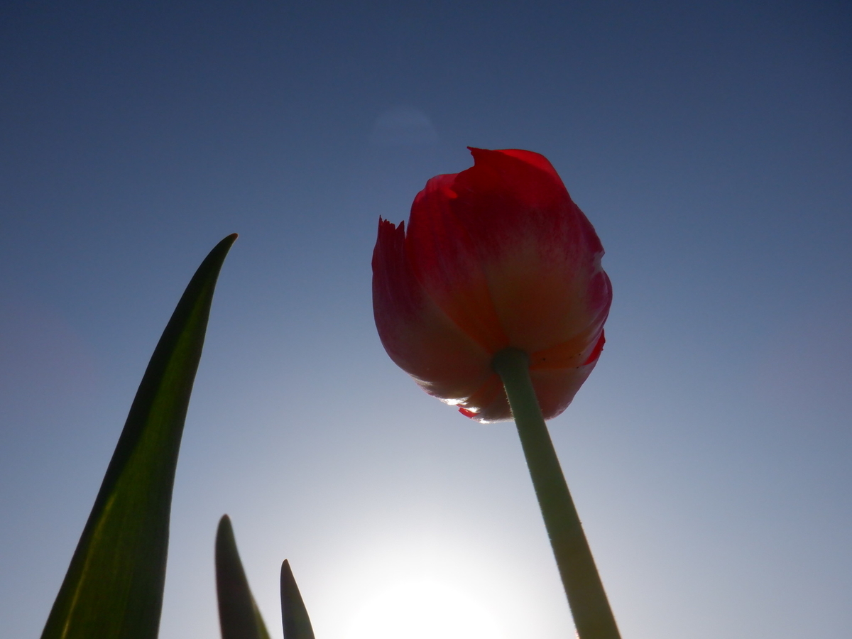 f:id:goodmotion55:20220417175222j:plain