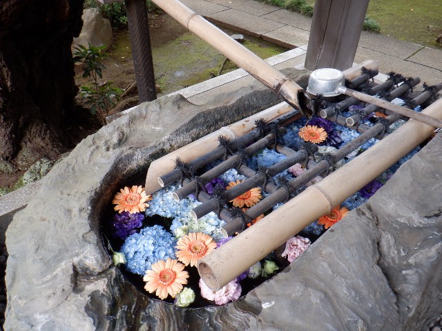 f:id:goodmotion55:20220612195827j:image