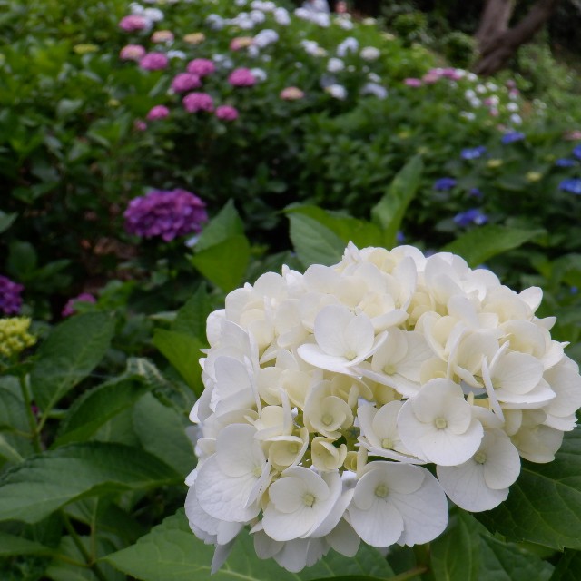 f:id:goodmotion55:20220612195854j:image