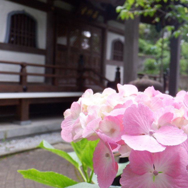 f:id:goodmotion55:20220612195919j:image