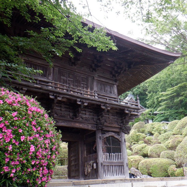 f:id:goodmotion55:20220612195944j:image