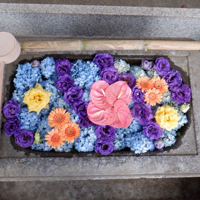 f:id:goodmotion55:20220612200027j:image