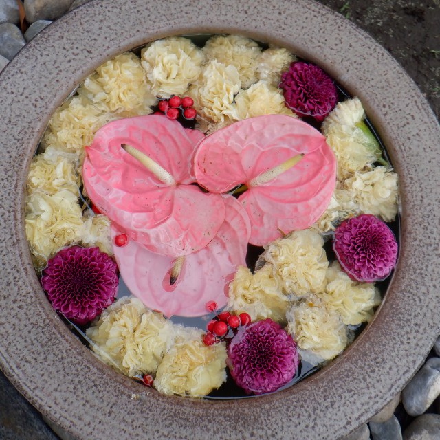 f:id:goodmotion55:20220612200039j:image