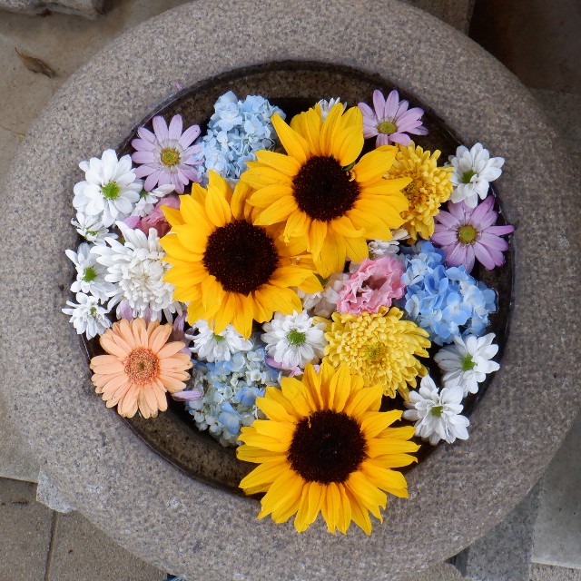 f:id:goodmotion55:20220612200133j:image