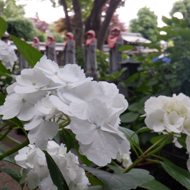 f:id:goodmotion55:20220612200912j:image