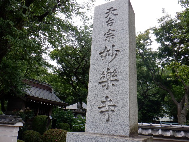 f:id:goodmotion55:20220612220735j:image