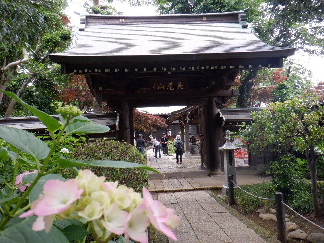 f:id:goodmotion55:20220612220751j:image